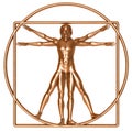 Bronze Vitruvian Man