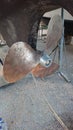 Bronze yacht propeller and new anode