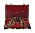 Bronzed Baby Shoes in Briefcase