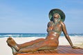 Bronzed Beauty Sunbaking Beach Royalty Free Stock Photo