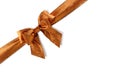 Bronzed bow Royalty Free Stock Photo