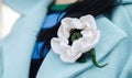 A brooch is a beautiful and fashionable accessory for a woman. Close-up of a girl with beautiful decoration Royalty Free Stock Photo