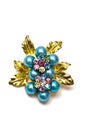 Brooch closeup Royalty Free Stock Photo