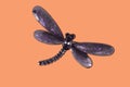 Brooch in form of a dragonfly with shine on an orange background
