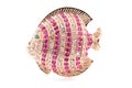 Brooch in the form of a goldfish on a white background Royalty Free Stock Photo