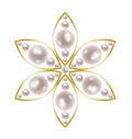 Brooch