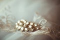 Brooch, hairpin with stones for brides with white lace, fashion accessories, wedding decorations, morning of the bride