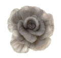 Brooches-rose from coloured felt Royalty Free Stock Photo