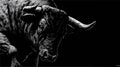 Brooding Bull: Visual Symphony of Shadows in Dark Royalty Free Stock Photo