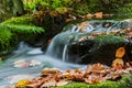 Brook in autumn with fallen leaves. Royalty Free Stock Photo