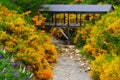 Brook with brooms in flower during spring in Villa La Angostura, Meliquina, Patagonia Argentina