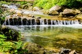 Brook in the Carpathian Mountains