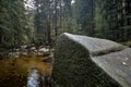 Brook or creek in nature pine Scandinavian mountain forest in evening light. Huge wet cold rock stones covered with northern moss. Royalty Free Stock Photo
