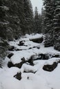 Brook in Dolina ZelenÃÂ©ho plesa in High Tatras Royalty Free Stock Photo