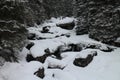 Brook in Dolina ZelenÃÂ©ho plesa in High Tatras Royalty Free Stock Photo