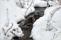 The brook flowing through the forest in winter