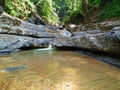 Forest brook streaming in The Caspian Hyrcanian forests , Iran Royalty Free Stock Photo