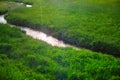 Brook flowing on meadow