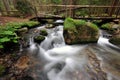 Brook in the forest Royalty Free Stock Photo