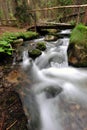 Brook in the forest Royalty Free Stock Photo