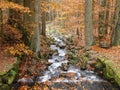 Brook in the forest of Sumava, czech national park