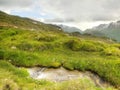 Brook in fresh Alps meadow, snowy peaks of Alps in background. Cold misty and rainy weather in mountains at the end of fall.