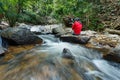 Brook in Green Forest,Mountain stream.