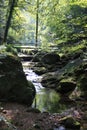 Brook Grobbach Geroldsau Baden-Baden Black forest Royalty Free Stock Photo