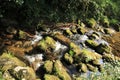 Brook Grobbach Geroldsau Baden-Baden Black forest Royalty Free Stock Photo