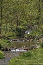 Brook in Lower Saxony, Germany, Europe