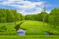 Brook and meadow and forest. Royalty Free Stock Photo