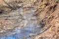 Brook in the spring forest Royalty Free Stock Photo