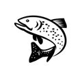 Brook Trout or Brook Char Jumping Up Retro Black and White