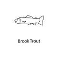 brook trout icon. Element of marine life for mobile concept and web apps. Thin line brook trout icon can be used for web and mobil