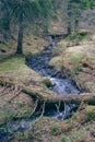 Brook up in the TotenÃÂ¥sen Hills, Norway Royalty Free Stock Photo