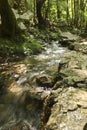 The brook in the woods bathes the boulders. Feeling of coolness