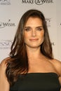 Brooke Shields