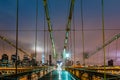 Brooklyn Bridge and the Manhattan skyline Royalty Free Stock Photo