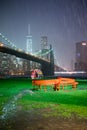 Brooklyn bridge rain