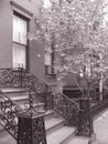 Brooklyn brownstones Royalty Free Stock Photo