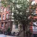 Brooklyn Brownstones Royalty Free Stock Photo