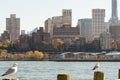 Brooklyn Heights, the piers of Brooklyn Bridge Park and the BQE as seen from the East River Royalty Free Stock Photo