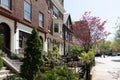 Residential neighborhood of Park Slope, Brooklyn. Brownstones with front yards and sidewalk