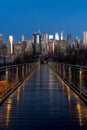 Vertical view of Squibb Park Bridge, a footbridge connecting Brooklyn Bridge Park and Squibb