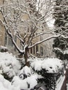 Brooklyn Park Slope Winter Snow