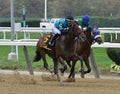 Brooklyn Strong - Eagle Orb Head to Head at Belmont Park