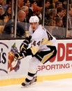 Brooks Orpik Pittsburgh Penguins Royalty Free Stock Photo