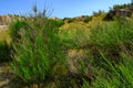 Hammeren Headland, Bornholm Island, Denmark