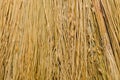 Broom close-up texture. straw backgrounds Royalty Free Stock Photo