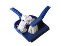 Broom and dustpan with garbage